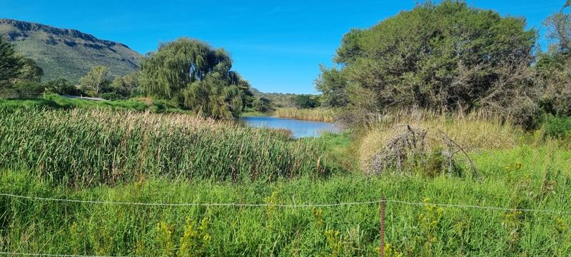 4 Bedroom Property for Sale in Queenstown Rural Eastern Cape